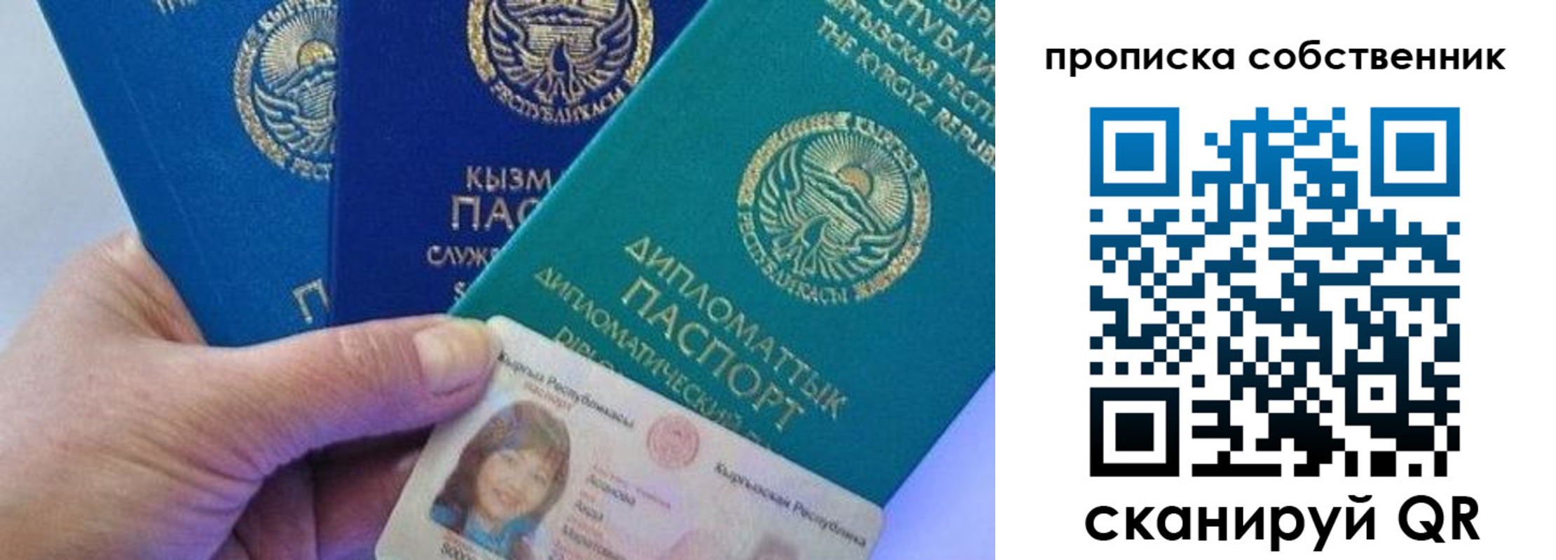 найти адрес прописки в Борзе